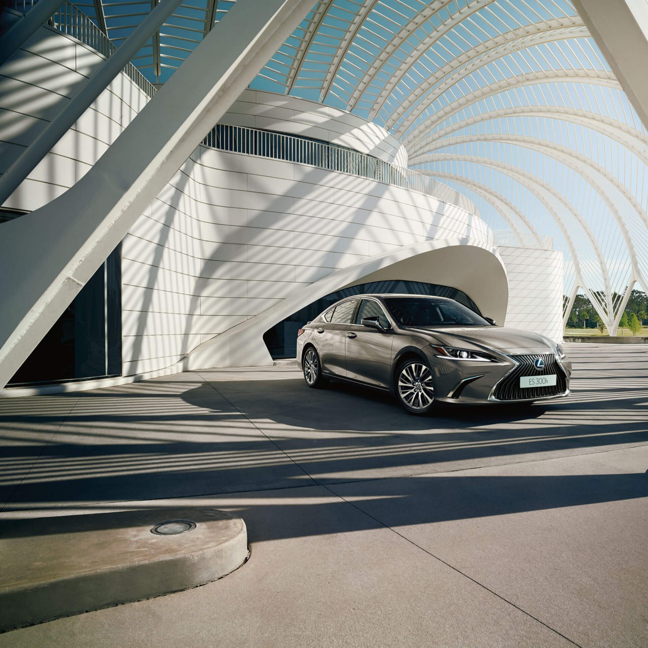 2021-lexus-business-hero-hybrid-for-business-1920x1920_tcm-3162-17365021