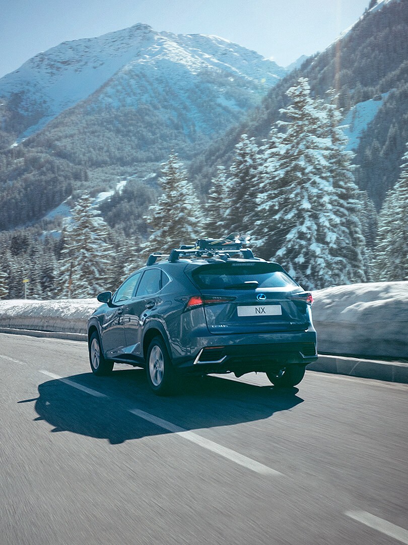 PNEUMATICI INVERNALI LEXUS